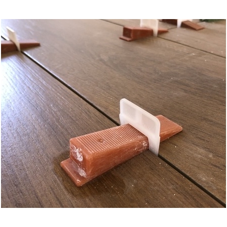 Coins RLS Raimondi -1