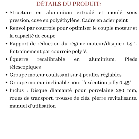 Scie à eau sur table conçue 423ADV Pikus 105 Advanced Raimondi -14