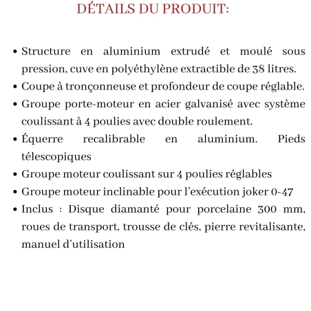 Machine à scier avec moteur et chariot coulissant 223MS125EU SMS 125 Raimondi -15