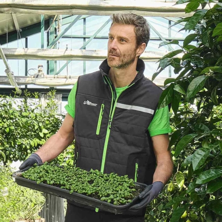Gilet de travail gris U-Power WALLU-POWER